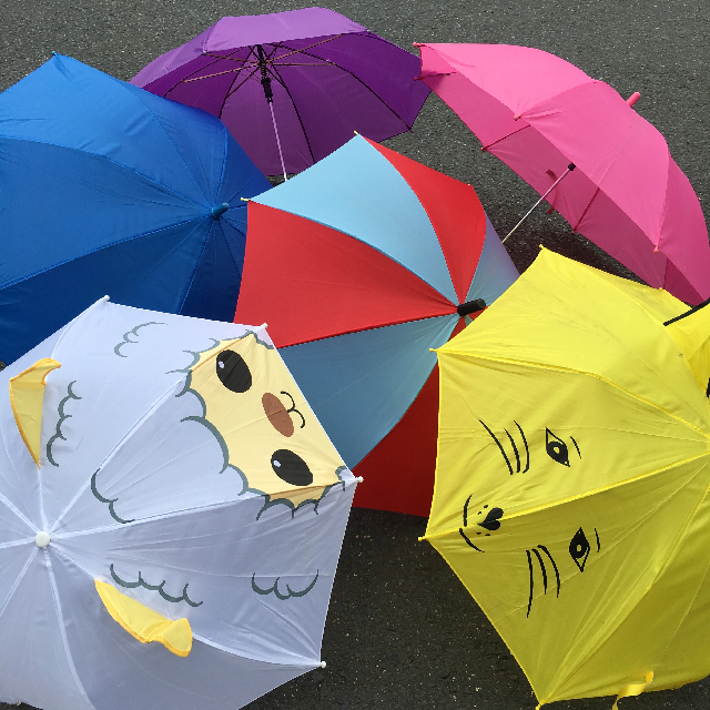 UMBRELLA, Kids Assorted